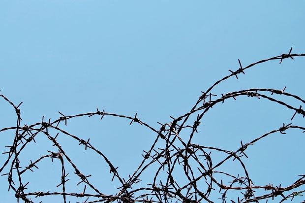 barbed wire blue sky