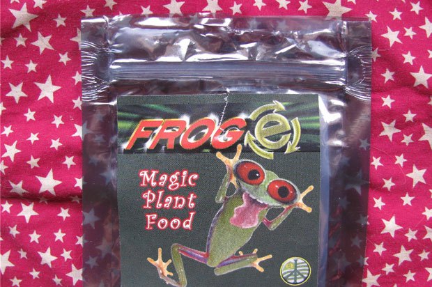 Packet with label 'magic plant food' called frog-e