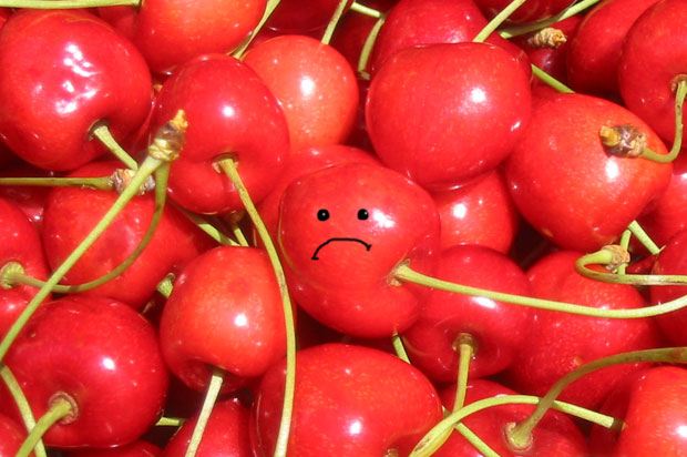 Sad cherry