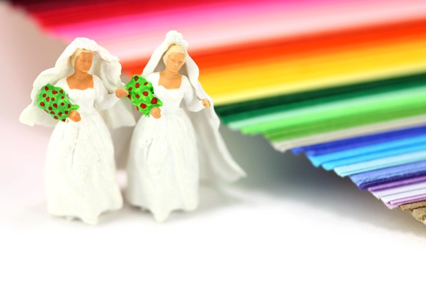 2 brides (like the ones usually on top of a cake) next to colours representing gay pride